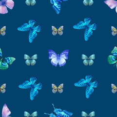 nith butterfly00