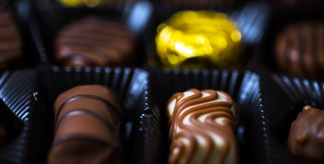 Variety of sweet homemade chocolate pralines and chocolate bars