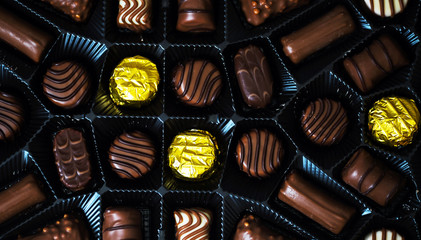 Variety of sweet homemade chocolate pralines and chocolate bars