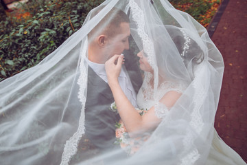 Fototapeta na wymiar bride and groom under the veil. Newlyweds kiss outdoor.