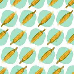 Corn maize vector seamless pattern. Realistic botanical illustration.