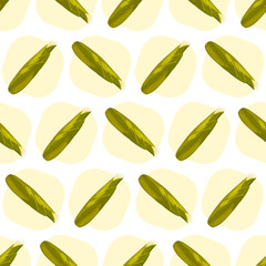 Corn maize vector seamless pattern. Realistic botanical illustration.