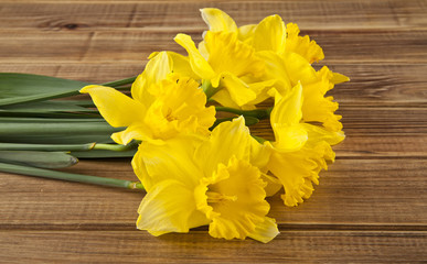 spring flowers yellow Narcissus