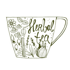Herbal tea. Vector illustration.