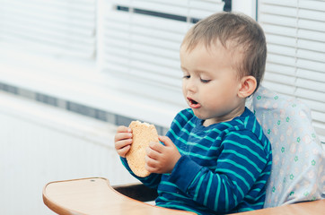 The boy in the kitchen eating cookies