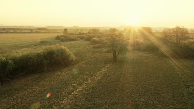 Total view of a beautiful countryside right before sunset in the summer.

