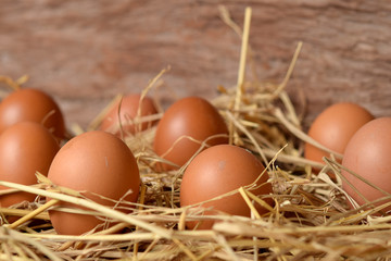 Eggs