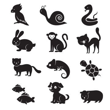 Pets and home animals vector icons