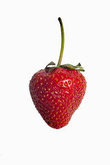 Strawberry isolated on white background. Clipping Path