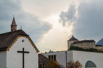 Field of small white flowers