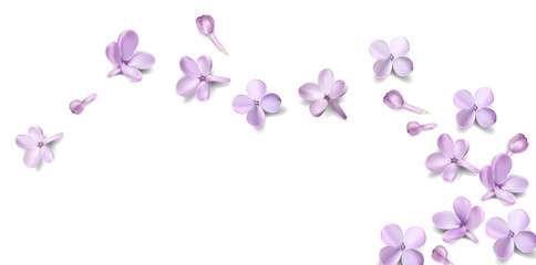 Naklejka na ściany i meble Pastel background with lilac flowers.
