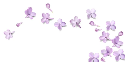 Foto op Aluminium Pastel background with lilac flowers. © Premium_art