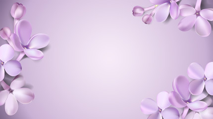 Pastel background with lilac flowers.