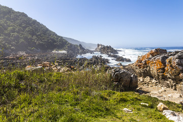 Fototapeta na wymiar Hiking trail on coast of Tsitsikamma National Park, South Africa