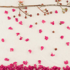 Pink crape myrtle flowers with branch and falling petals background