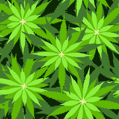 Green marijuana background vector illustration seamless pattern marihuana leaf herb narcotic textile