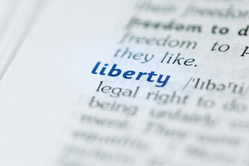 Dictionary definition of word