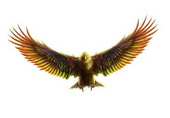 Fototapeta premium Eagle soaring