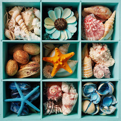 Sea shell display box filled with shells, starfish and  scented potpourri