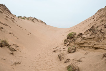 Fototapeta na wymiar Sand dunes on the English coast