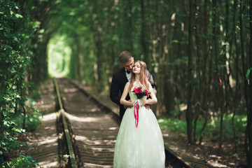 Obraz na płótnie Canvas luxury stylish young bride and groom on the background spring sunny green forest