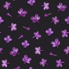 Pastel background with lilac flowers.