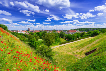 Idyllic meadow in city centre of Gdansk, Poland