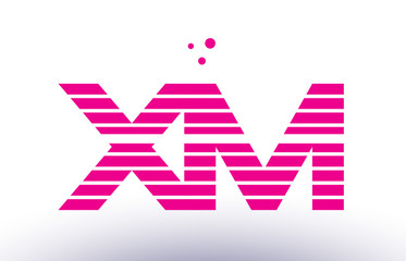 xm x m pink purple line stripe alphabet letter logo vector template