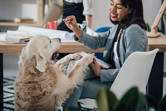 Smiling young african american businesswoman playing with golden retriever dog in office - Powered by Adobe