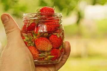 Стеклянная банка с красной клубникой в руке