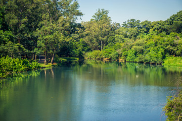 Fototapeta na wymiar Ibirapuera Park, Sao Paulo, Brazil - Beautiful pond inside the park.
