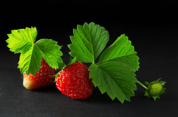 Ripe, juicy and appetizing strawberry berries full of freshness and beauty with green leaves isolated on a black background