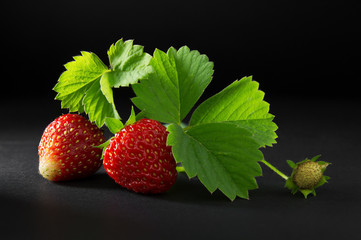 Ripe, juicy and appetizing strawberry berries full of freshness and beauty with green leaves isolated on a black background