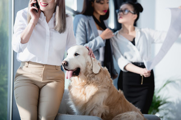 businesswomen talking on smartphone with dog while her colleagues looking at blueprint