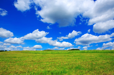 Field with green grass and blue sky with clouds.