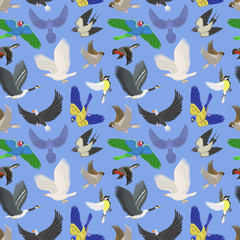 Set of different wing wild flying birds seamless pattern background