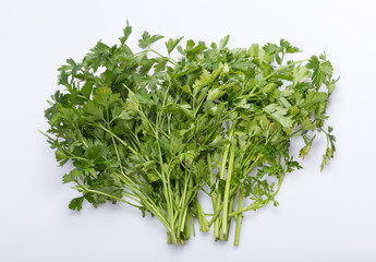 Fresh parsley on white background