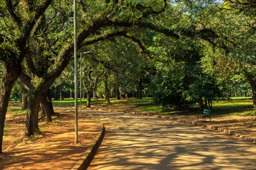 Routes and Paths of the Ibirapuera Park, Sao Paulo, Brazil.