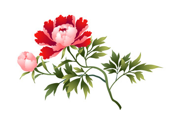Peony flower illustration isolated on white