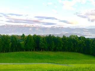 Gerader Weg quer durchs Bild mit Wald und Bergen