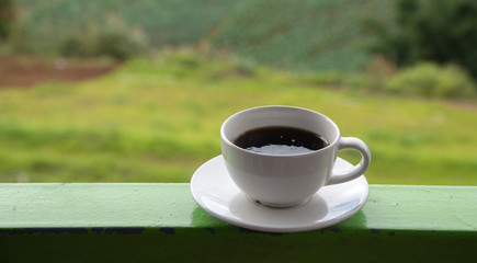 Morning cup of coffee on green cabbage field background