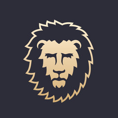 lion head vector illustration