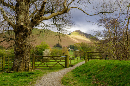 Footpath in the Lake District