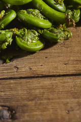 raw, fresh fiddleheads from New Hampshire, USA