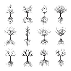 Black Naked Trees and Roots. Vector Illustration.