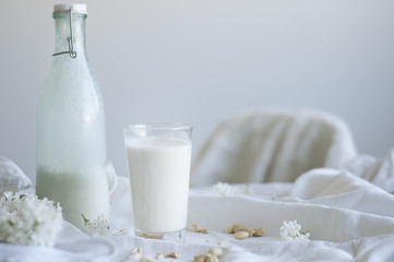 Making Raw Vegan Cashew Milk