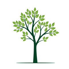 Natural Green Tree with Leaves. Vector Illustration.