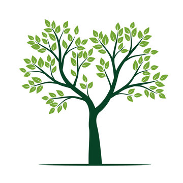 Natural Green Tree with Leaves. Vector Illustration.