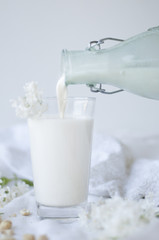 Making Raw Vegan Cashew Milk