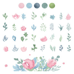 Watercolor floral collection with leaves and flowers.